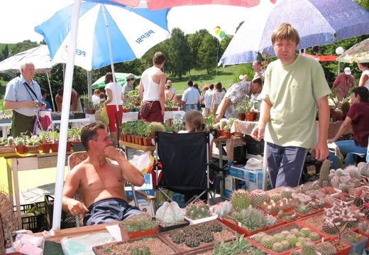 Выставка август 2007 (1919 відвідувань) 26-е - продавцы подустали, ряды растений поредели...
Фот�... Выставка август 2007