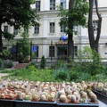 Выставка май 2009 (2195 відвідувань) Фото Лорана Комяти (Кировоград) Выставка май 2009
