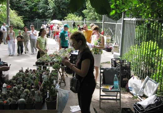 Выставка май 2009 (2248 відвідувань) Фото Лорана Комяти (Кировоград)
Выставка май 2009