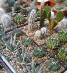 Выставка 02 -04.09.2011 на Куликовом поле