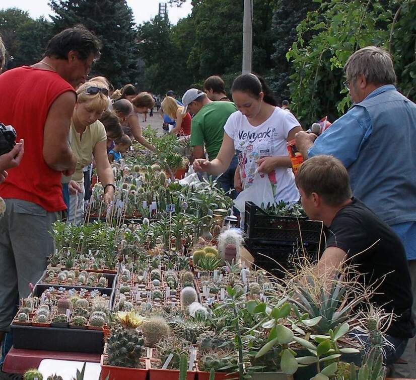 Выставка 02-04.09.2011 на Куликовом поле