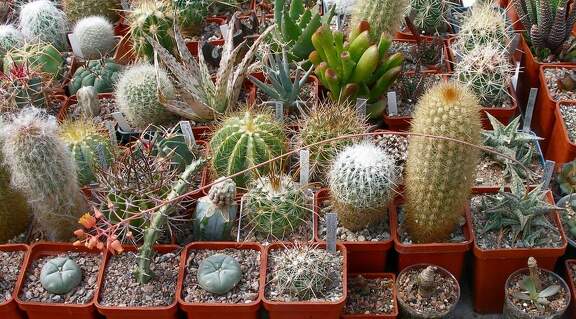 Выставка 02 -04.09.2011 на Куликовом поле