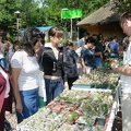 Выставка на День города (02.09.2007) (2046 відвідувань) Виталий Бойко везде на своем месте :).
Фото Александра ... Выставка на День города (02.09.2007)