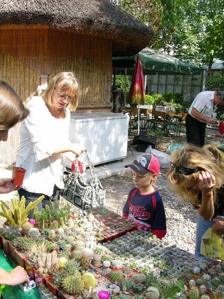 Выставка на День города (02.09.2007)