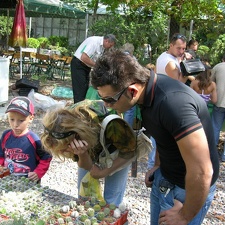 Выставка на День города (02.09.2007) (1970 відвідувань) Пристальное поступательное изучение ассортимента в и... Выставка на День города (02.09.2007)