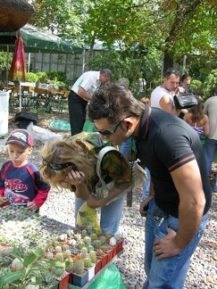 Выставка на День города (02.09.2007)