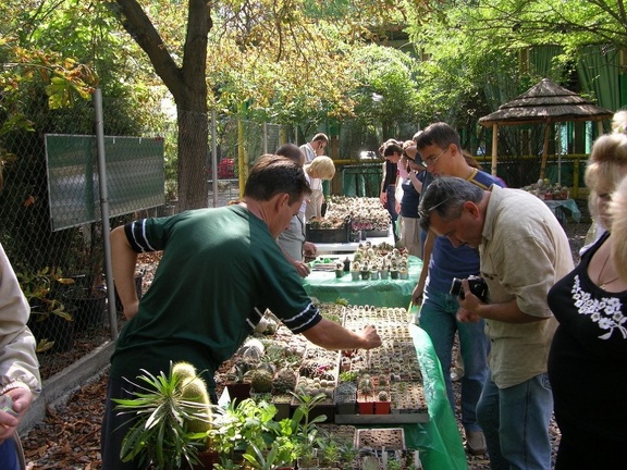 Выставка на День города (02.09.2007)