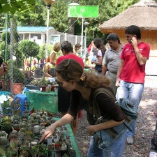 Выставка на День города (02.09.2007) (2007 відвідувань) Фото Александра Тельпешова (Одесса) Выставка на День города (02.09.2007)