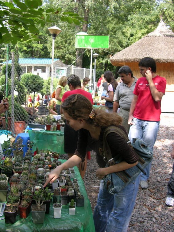 Выставка на День города (02.09.2007)