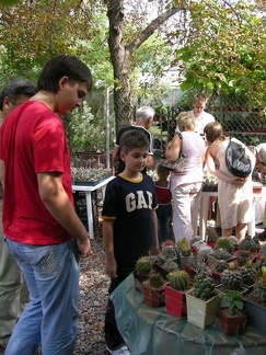 Выставка на День города (02.09.2007)