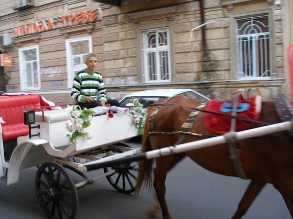 Выставка на День города (02.09.2007)