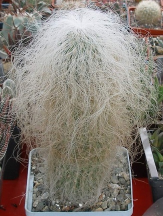 Выставка 15-17.04.2011 в &quot;Ваш сад&quot;