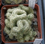 Выставка 15-17.04.2011 в &quot;Ваш сад&quot;