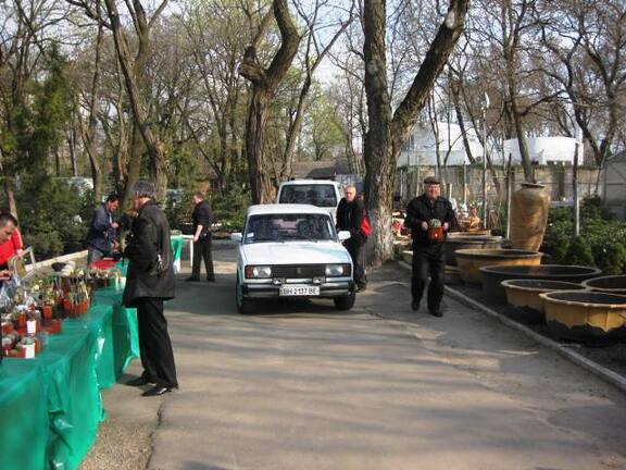 Выставка 11-12 апреля 2009 (Одесса)