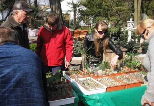 Выставка 11-12 апреля 2009 (Одесса) (2011 відвідувань) Фото Лорана Комяти (Кировоград) Выставка 11-12 апреля 2009 (Одесса)
