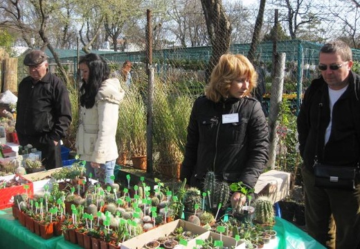 Выставка 11-12 апреля 2009 (Одесса) (1862 відвідувань) Фото Лорана Комяти (Кировоград) Выставка 11-12 апреля 2009 (Одесса)
