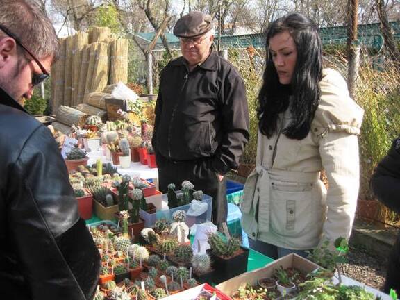 Выставка 11-12 апреля 2009 (Одесса)