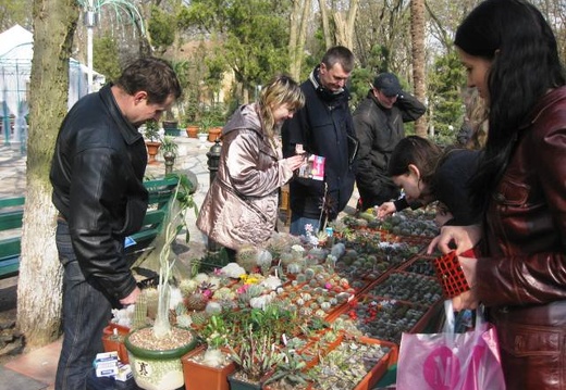 Выставка 11-12 апреля 2009 (Одесса) (1783 відвідувань) Фото Лорана Комяти (Кировоград) Выставка 11-12 апреля 2009 (Одесса)