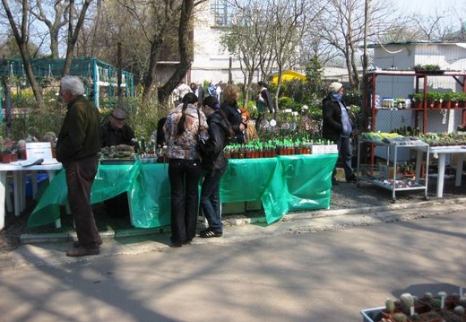 Выставка 11-12 апреля 2009 (Одесса) (1937 відвідувань) Фото Лорана Комяти (Кировоград) Выставка 11-12 апреля 2009 (Одесса)