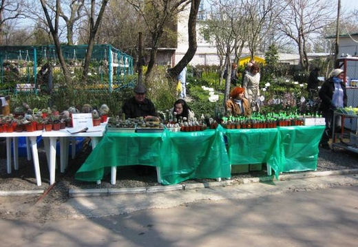 Выставка 11-12 апреля 2009 (Одесса) (2040 відвідувань) Фото Лорана Комяти (Кировоград)
Выставка 11-12 апреля 2009 (Одесса)