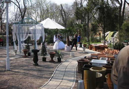Выставка 11-12 апреля 2009 (Одесса) (2123 відвідувань) Фото Лорана Комяти (Кировоград)
Выставка 11-12 апреля 2009 (Одесса)