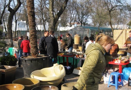 Выставка 11-12 апреля 2009 (Одесса) (1958 відвідувань) Фото Лорана Комяти (Кировоград) Выставка 11-12 апреля 2009 (Одесса)