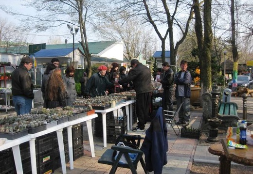 Выставка 11-12 апреля 2009 (Одесса) (2140 відвідувань) Фото Лорана Комяти (Кировоград) Выставка 11-12 апреля 2009 (Одесса)