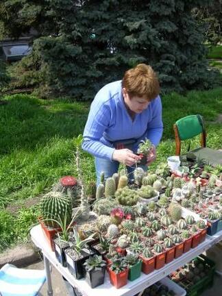 Выставка 19-20 апреля 2008 (Одесса)