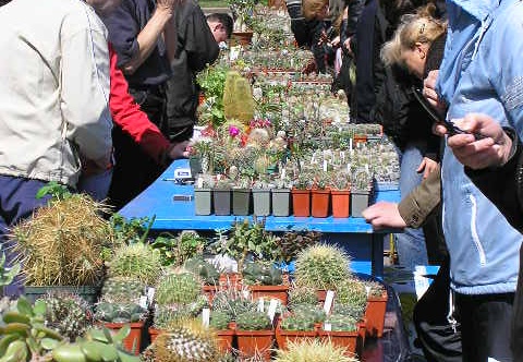 Выставка 19-20 апреля 2008 (Одесса) (2538 відвідувань) Фото Валентины Гуцалюк (Одесса) Выставка 19-20 апреля 2008 (Одесса)