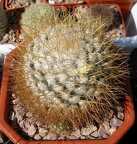 Выставка 20-22.04.2012 в &quot;Ваш сад&quot;