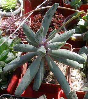 Выставка 20-22.04.2012 в &quot;Ваш сад&quot;