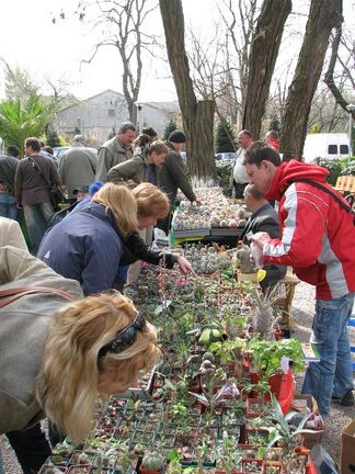 Выставка 21-22 апреля 2007 (Одесса)