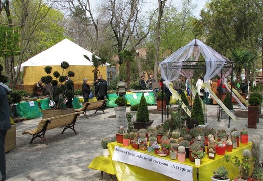 Выставка 21-22 апреля 2007 (Одесса) (2025 відвідувань) Фото Натальи Эллис (Одесса) Выставка 21-22 апреля 2007 (Одесса)