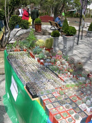 Выставка 21-22 апреля 2007 (Одесса)