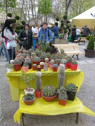 Выставка 21-22 апреля 2007 (Одесса)