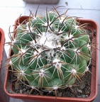 Выставка 23-25.09.2011 на Куликовом поле