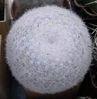 Выставка 23-25.09.2011 на Куликовом поле