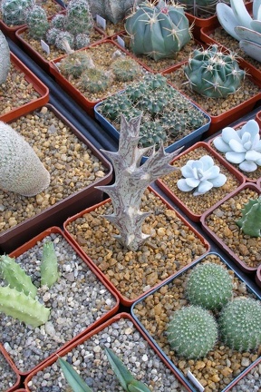 Выставка 23-25.09.2011 на Куликовом поле