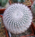 Выставка 23-25.09.2011 на Куликовом поле