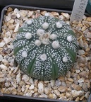 Выставка 23-25.09.2011 на Куликовом поле