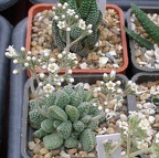 Выставка 23-25.09.2011 на Куликовом поле