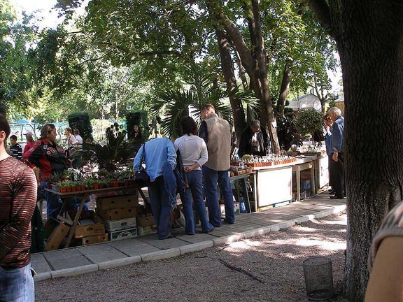 Выставка 23-24 сентября 2006 (Одесса)