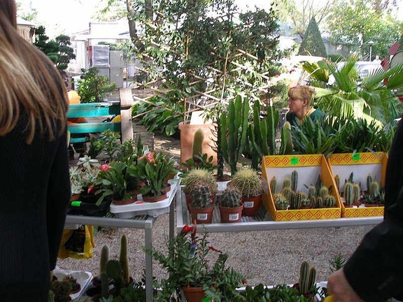 Выставка 23-24 сентября 2006 (Одесса)