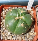 Выставка 25-27.05.2012 на Куликовом поле