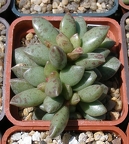 Выставка 25-27.05.2012 на Куликовом поле