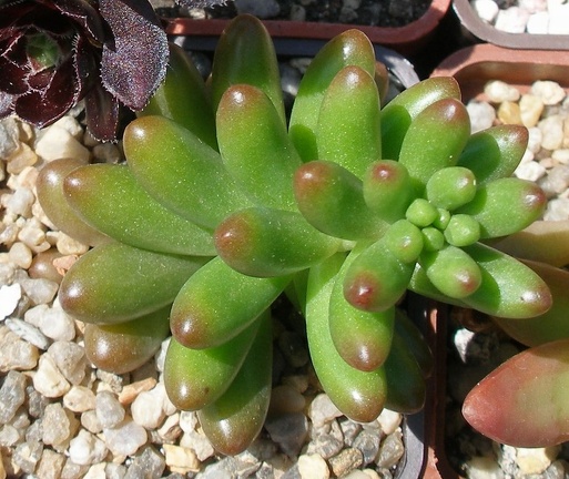 Выставка 25-27.05.2012 на Куликовом поле