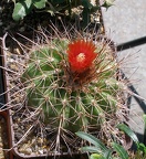 Выставка 25-27.05.2012 на Куликовом поле