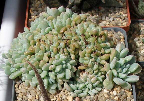  Выставка 03-05.06.2011 на Куликовом поле