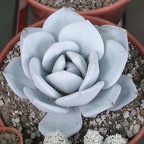  Выставка 03-05.06.2011 на Куликовом поле