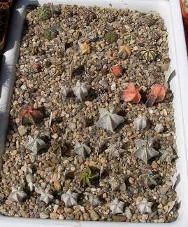  Выставка 03-05.06.2011 на Куликовом поле